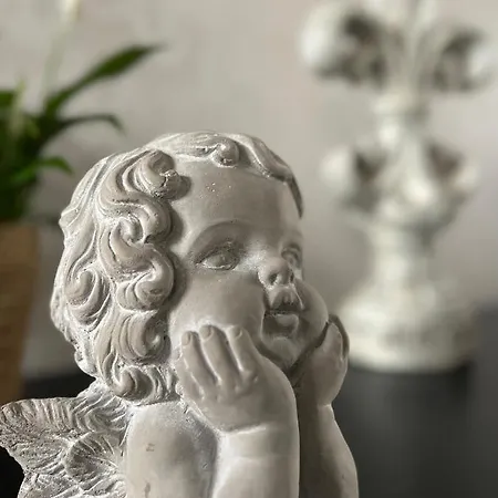 Bed & Breakfast Domaine Des Anges Avesnes-sur-Helpe